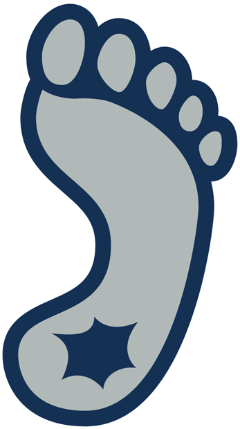 North Carolina Tar Heels 1999-2014 Alternate Logo v3 diy iron on heat transfer